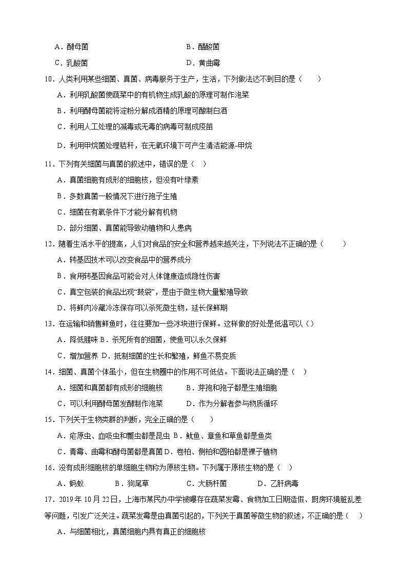 热点18 细菌、真菌和病毒-备战2024年中考生物热点专题精练02