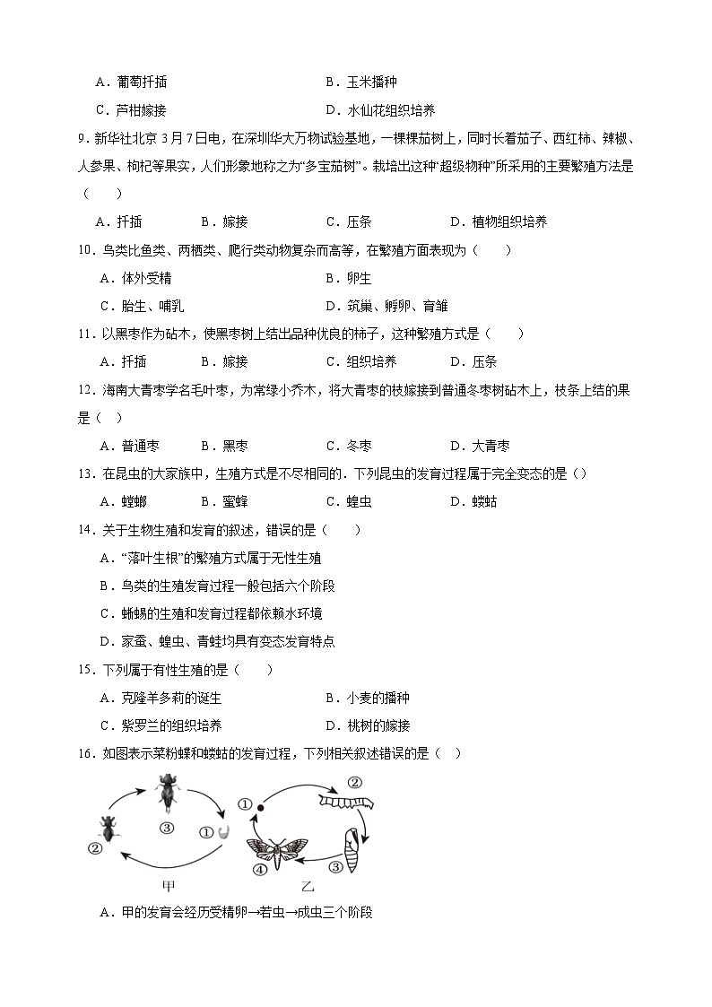 热点20 生物的生殖和发育-备战2024年中考生物热点专题精练02