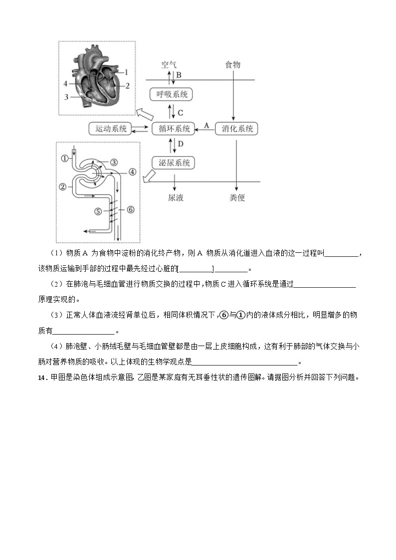 2024年辽宁省初中学业水平考试生物学仿真模拟卷（三）03