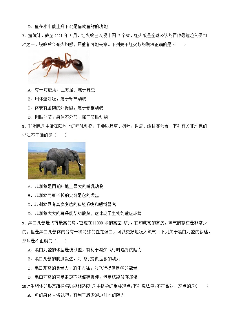 广东省阳春市2023-2024学年八年级上学期期末考试生物试卷第2页