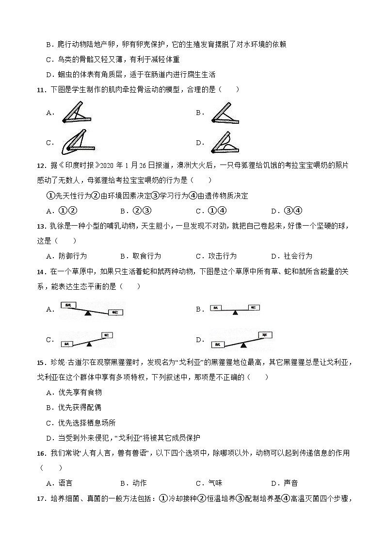 广东省阳春市2023-2024学年八年级上学期期末考试生物试卷第3页