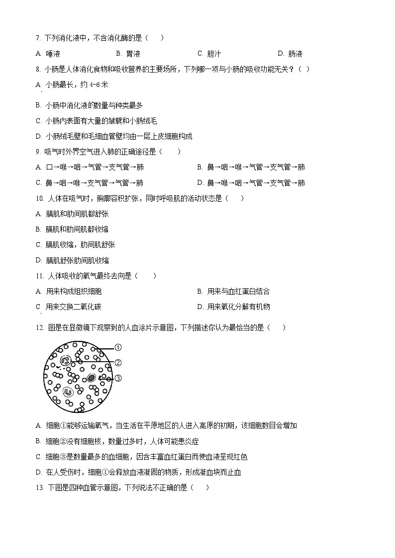 四川省泸县五中初中教育共同体2023-2024学年七年级下学期期中生物试题（原卷版）第2页