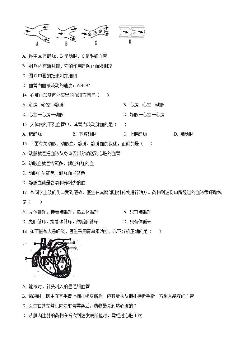 四川省泸县五中初中教育共同体2023-2024学年七年级下学期期中生物试题（原卷版）第3页