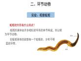 5.1.2 线形动物和环节动物（第2课时） 课件