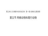 5.1.5 两栖动物和爬行动物 课件
