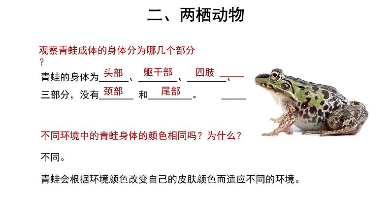 5.1.5 两栖动物和爬行动物 课件第4页