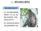5.1.7 哺乳动物 课件