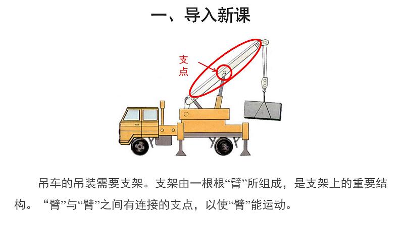 5.2.1 动物的运动 课件第2页