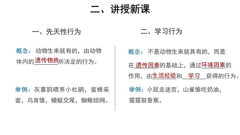 5.2.2 先天性行为和学习行为 课件第3页