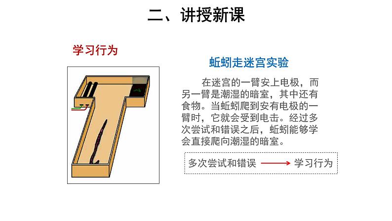 5.2.2 先天性行为和学习行为 课件第5页