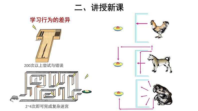 5.2.2 先天性行为和学习行为 课件第8页