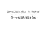 5.4.1 细菌和真菌的分布 课件