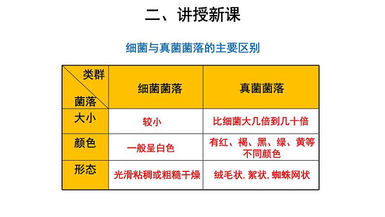 5.4.1 细菌和真菌的分布 课件07