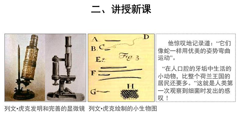 5.4.2 细菌 课件第4页