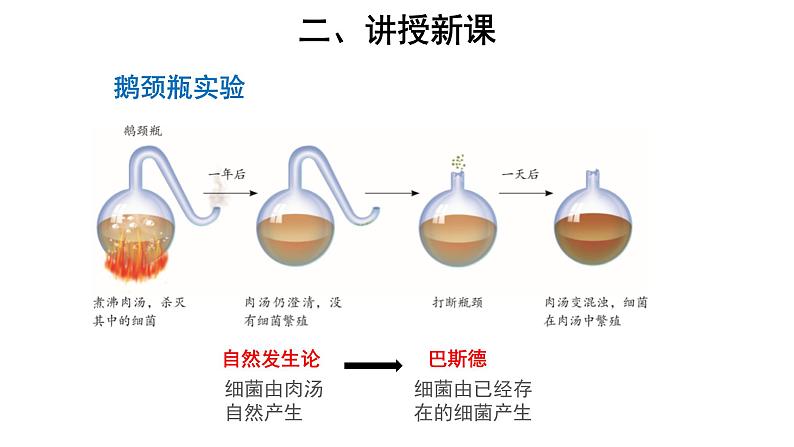 5.4.2 细菌 课件第6页