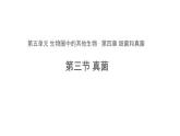 5.4.3 真菌 参考课件