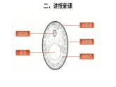 5.4.3 真菌 参考课件