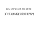 5.4.4 细菌和真菌在自然界中的作用 课件