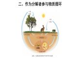 5.4.4 细菌和真菌在自然界中的作用 课件