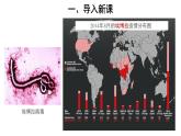 5.5.1 病毒 课件