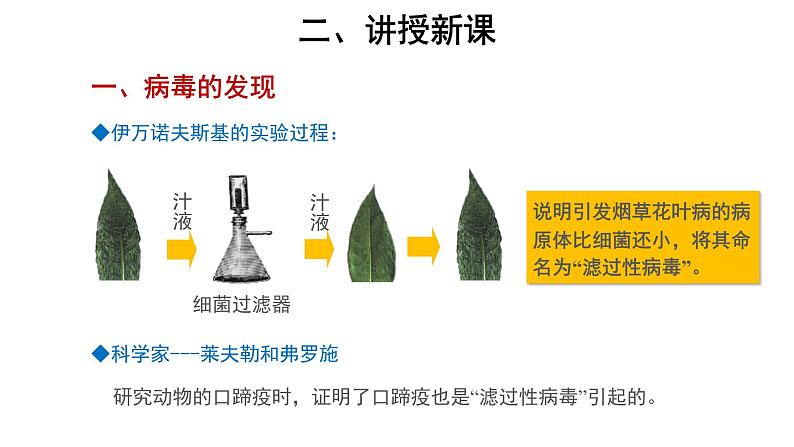 5.5.1 病毒 课件03