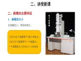5.5.1 病毒 课件