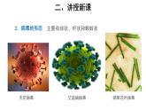 5.5.1 病毒 课件