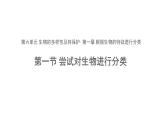 6.1.1 尝试对生物进行分类 课件