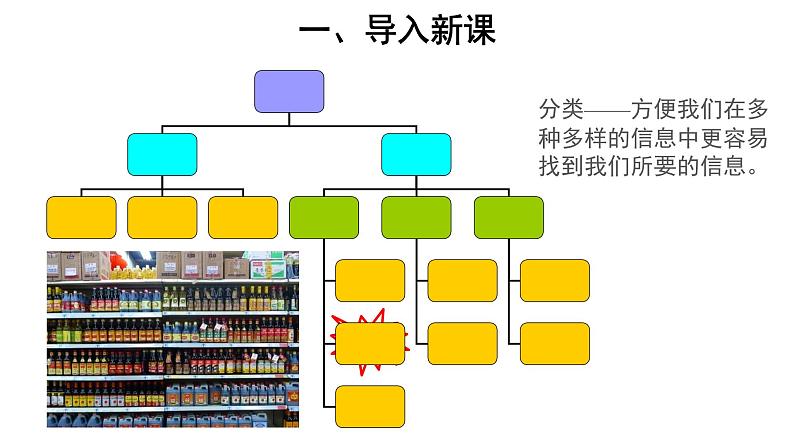 6.1.1 尝试对生物进行分类 课件03