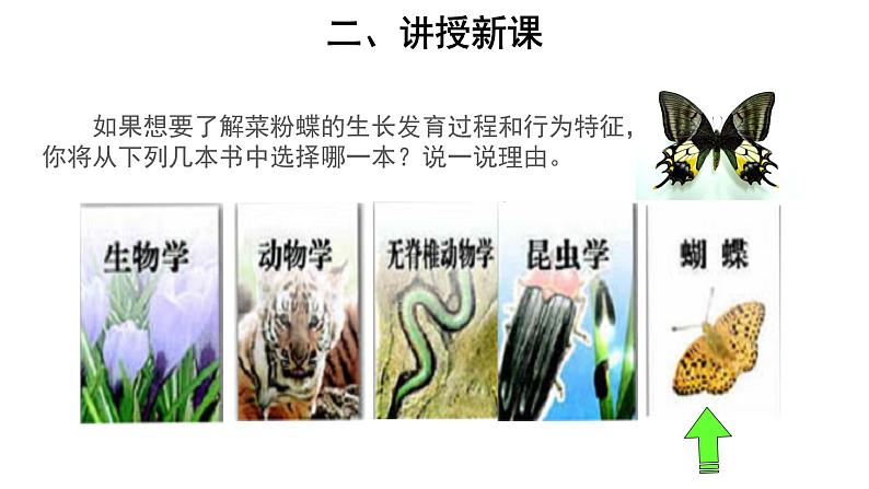 6.1.1 尝试对生物进行分类 课件04