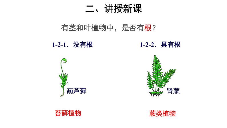 6.1.1 尝试对生物进行分类 课件08