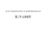 6.1.2 从种到界 课件