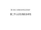 6.2.1 认识生物的多样性 课件