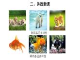6.2.1 认识生物的多样性 课件
