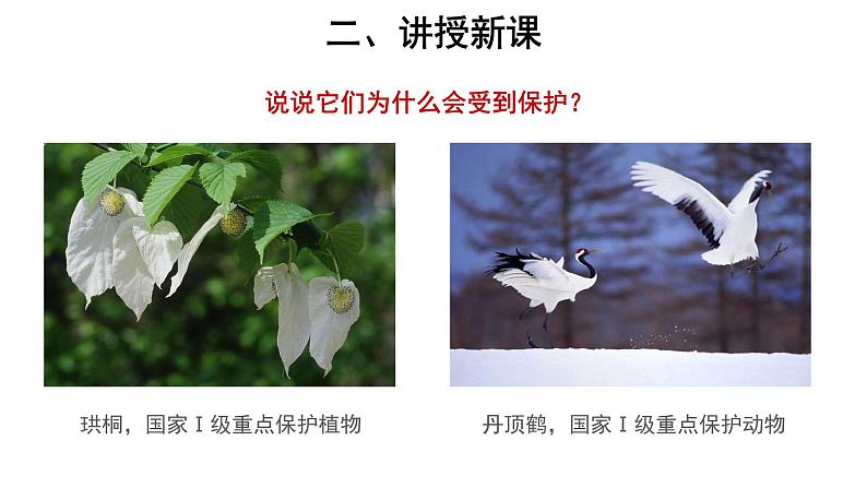 6.3.1 保护生物的多样性 课件05