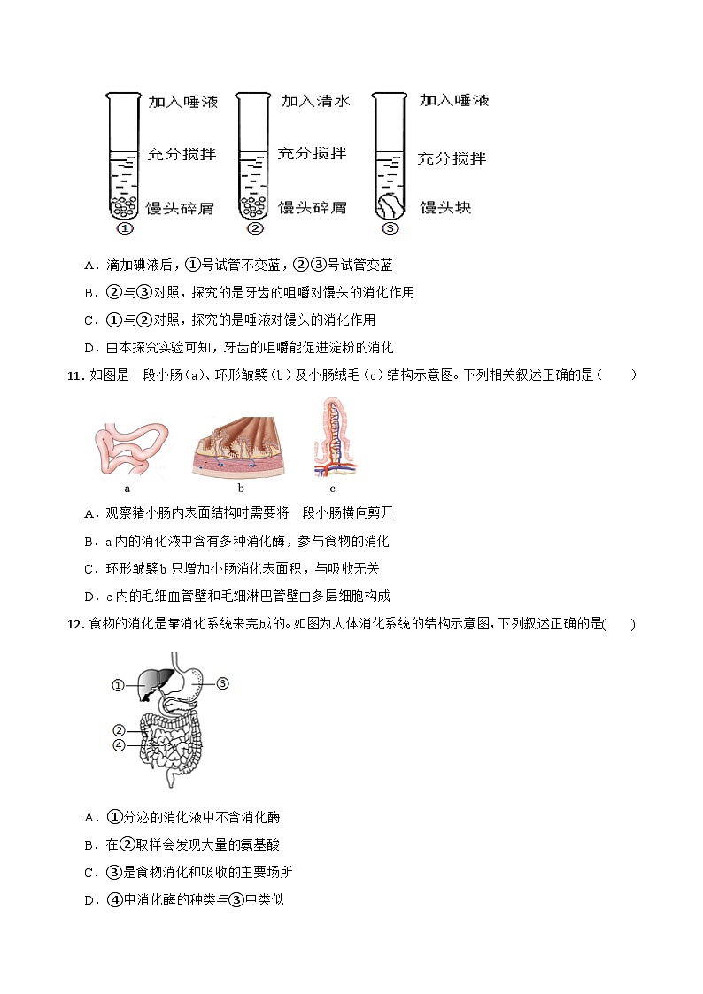 河北省保定市博野县东墟学校2023-2024学年七年级下学期期中考试生物试卷+03