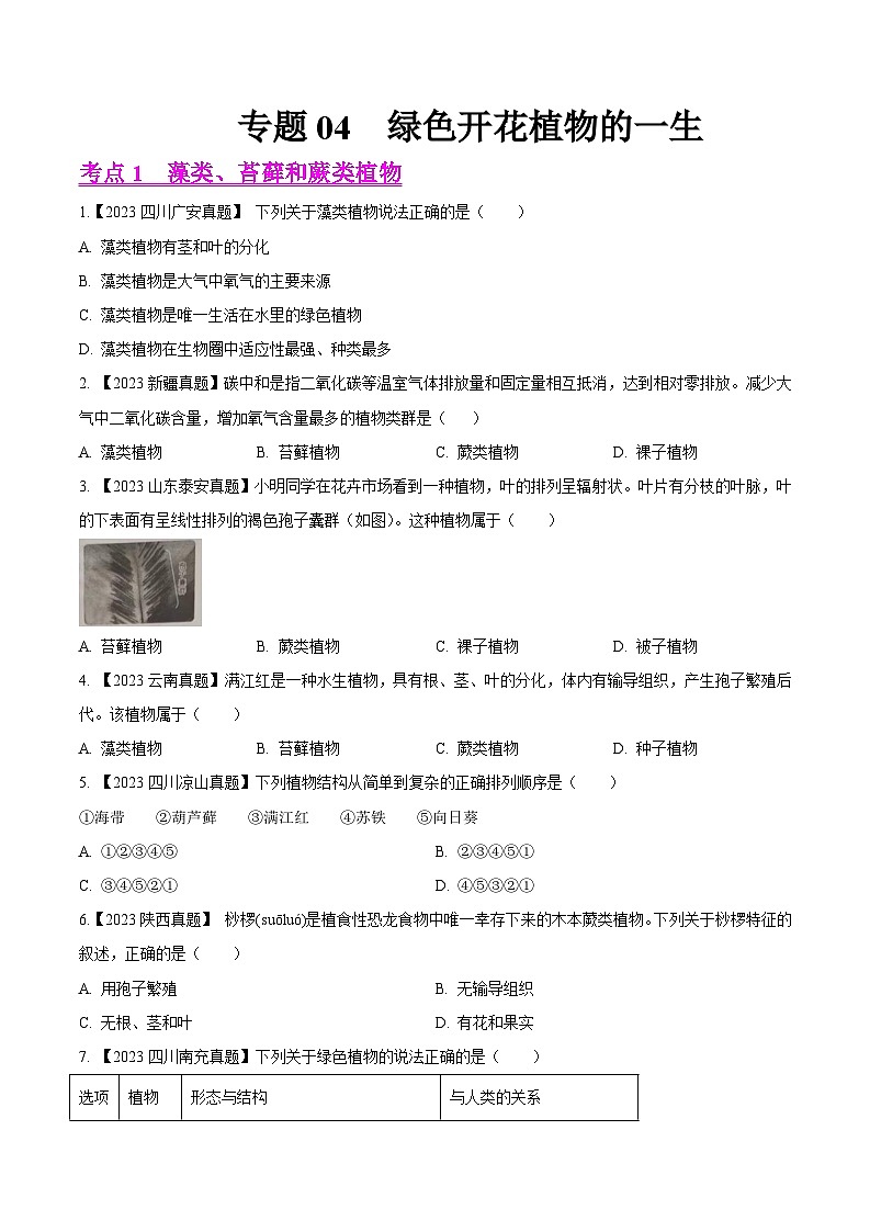 2024年中考生物真题分项汇编（全国通用）-专题04  绿色开花植物的一生-学易金卷： （第1期）（原卷版+解析版）01