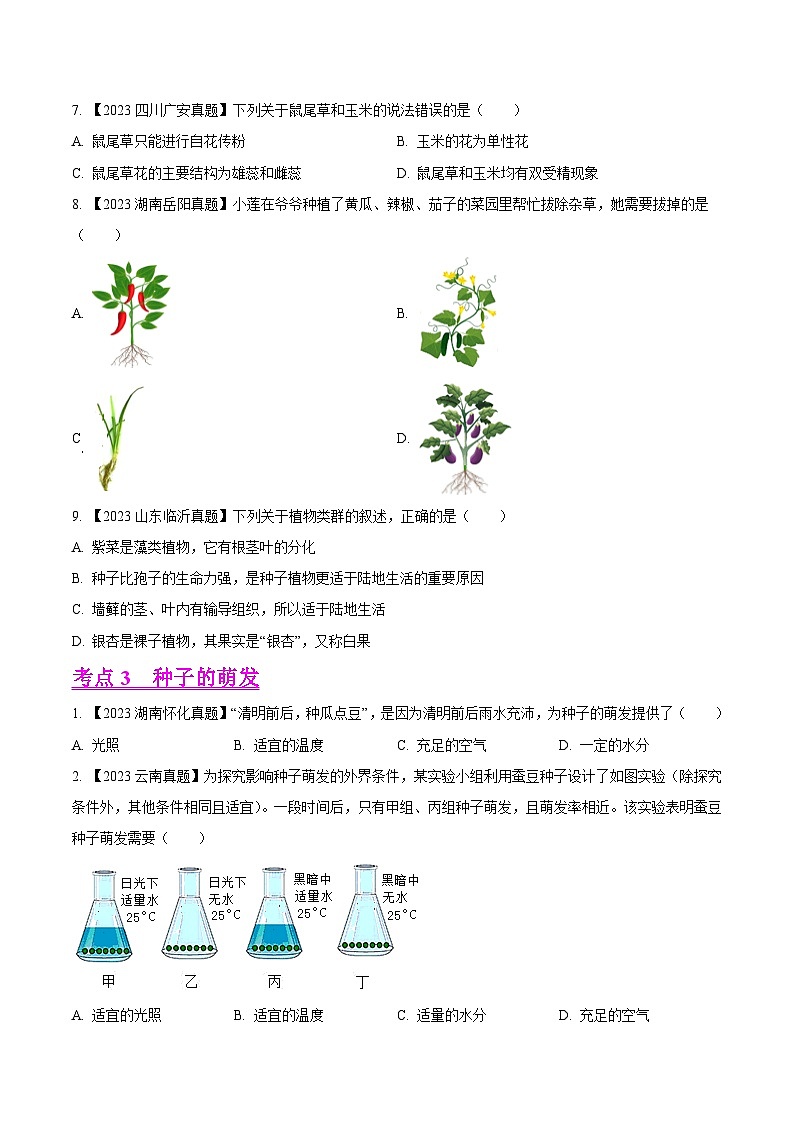 2024年中考生物真题分项汇编（全国通用）-专题04  绿色开花植物的一生-学易金卷： （第1期）（原卷版+解析版）03