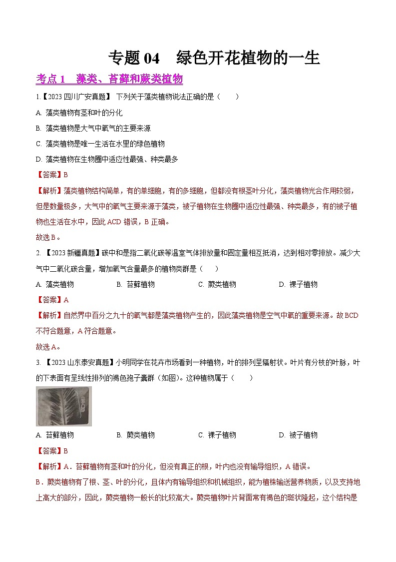 2024年中考生物真题分项汇编（全国通用）-专题04  绿色开花植物的一生-学易金卷： （第1期）（原卷版+解析版）01
