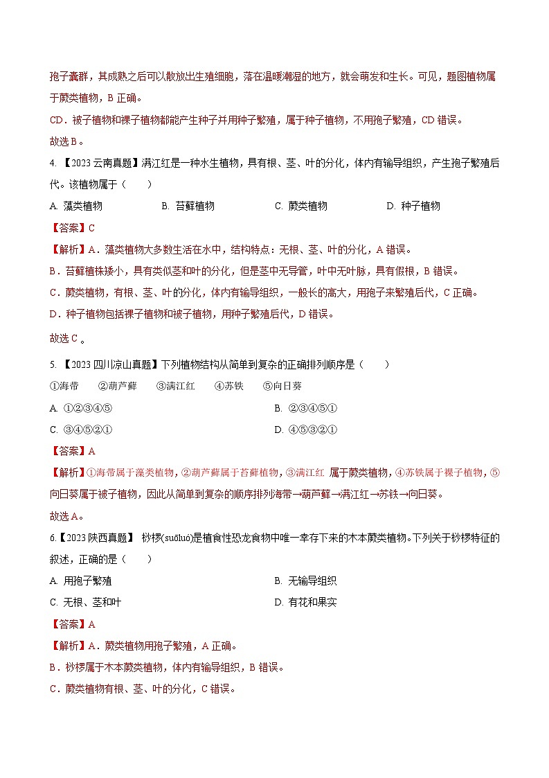 2024年中考生物真题分项汇编（全国通用）-专题04  绿色开花植物的一生-学易金卷： （第1期）（原卷版+解析版）02