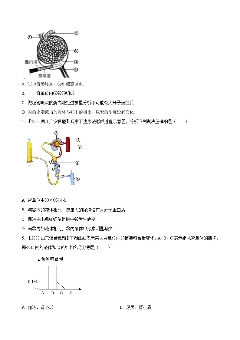 2024年中考生物真题分项汇编（全国通用）-专题10  人体内废物的排出-学易金卷：（第1期）（原卷版）第2页