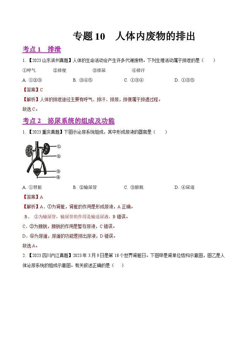 2024年中考生物真题分项汇编（全国通用）-专题10  人体内废物的排出-学易金卷：（第1期）（解析版）第1页