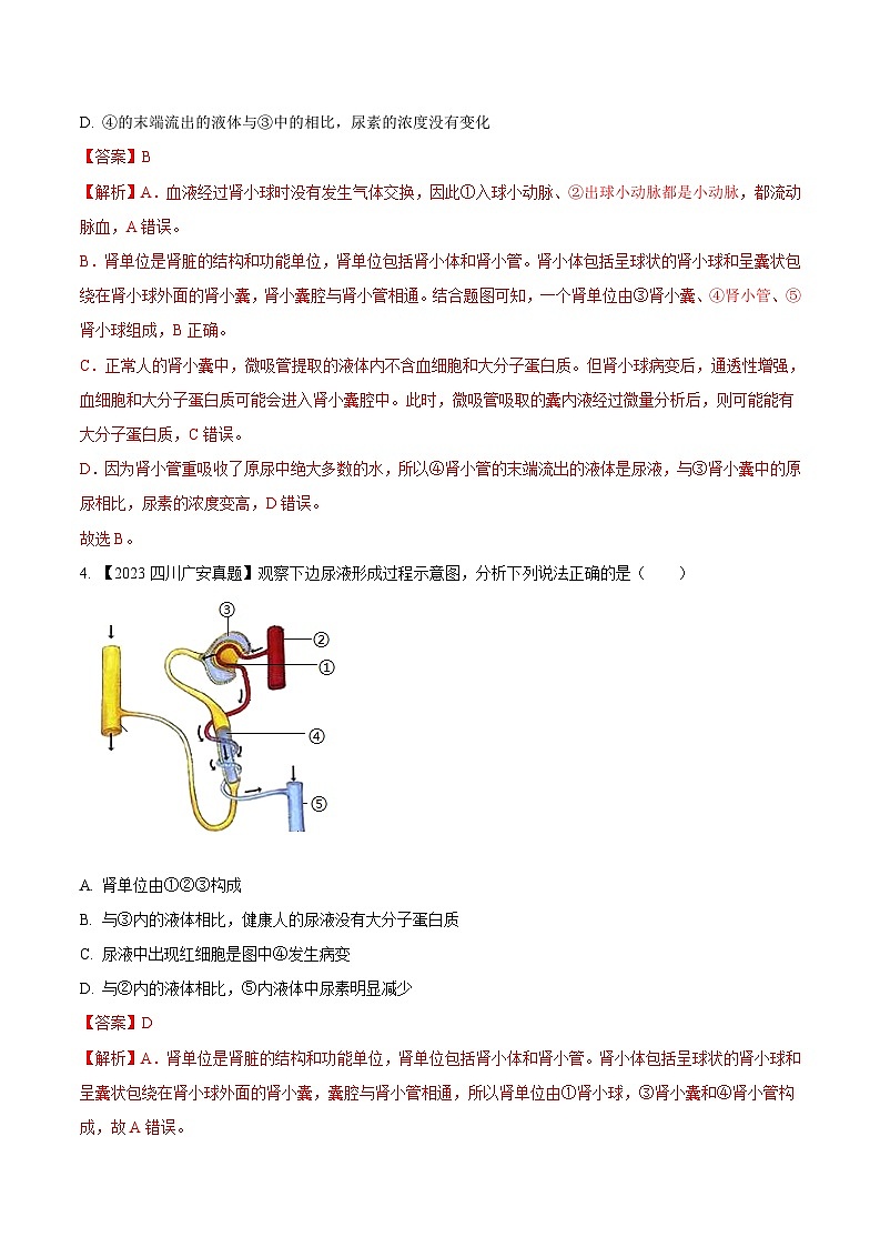 2024年中考生物真题分项汇编（全国通用）-专题10  人体内废物的排出-学易金卷：（第1期）（解析版）第3页
