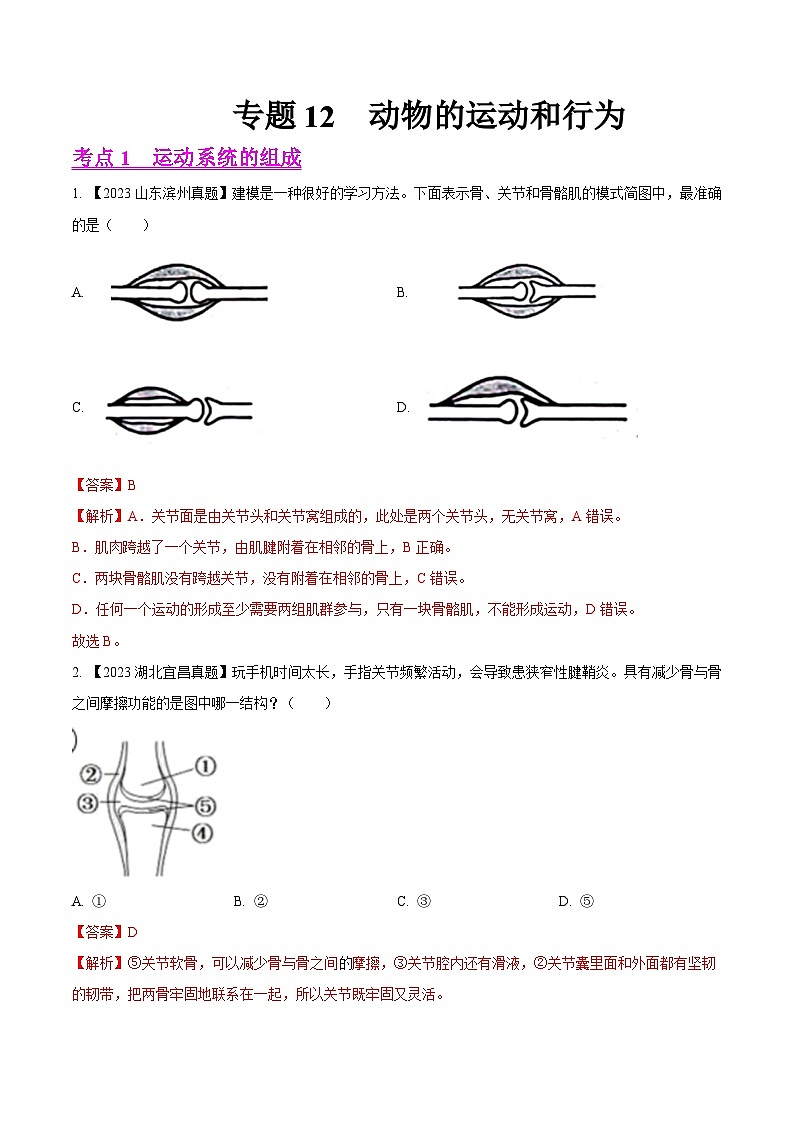 2024年中考生物真题分项汇编（全国通用）-专题12  动物的运动和行为- 学易金卷：（第1期）（原卷版+解析版）01
