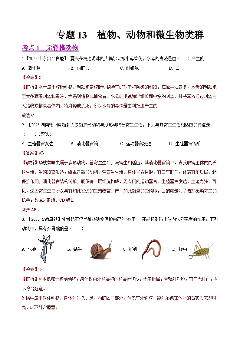 2024年中考生物真题分项汇编（全国通用）-专题13  植物、动物和微生物类群- 学易金卷：（第1期）（解析版）第1页