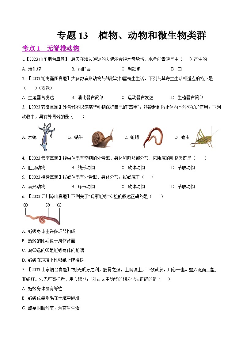 2024年中考生物真题分项汇编（全国通用）-专题13  植物、动物和微生物类群- 学易金卷：（第1期）（原卷版）第1页