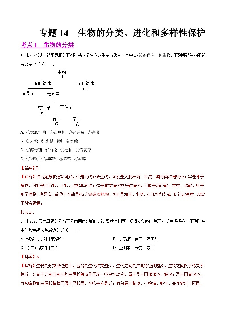 2024年中考生物真题分项汇编（全国通用）-专题14  生物的分类、进化和多样性保护- 学易金卷：（第1期）（解析版）第1页