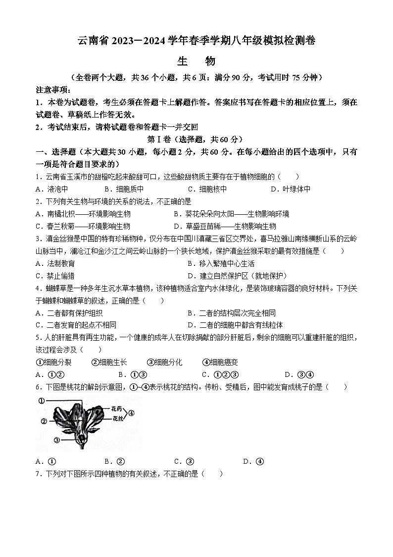 2024年云南省昭通市巧家县九年级二模生物试题01