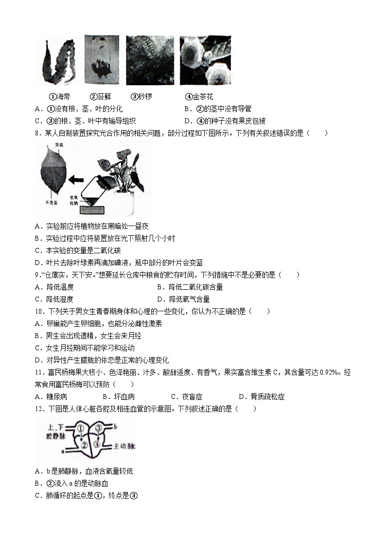 2024年云南省昭通市巧家县九年级二模生物试题02