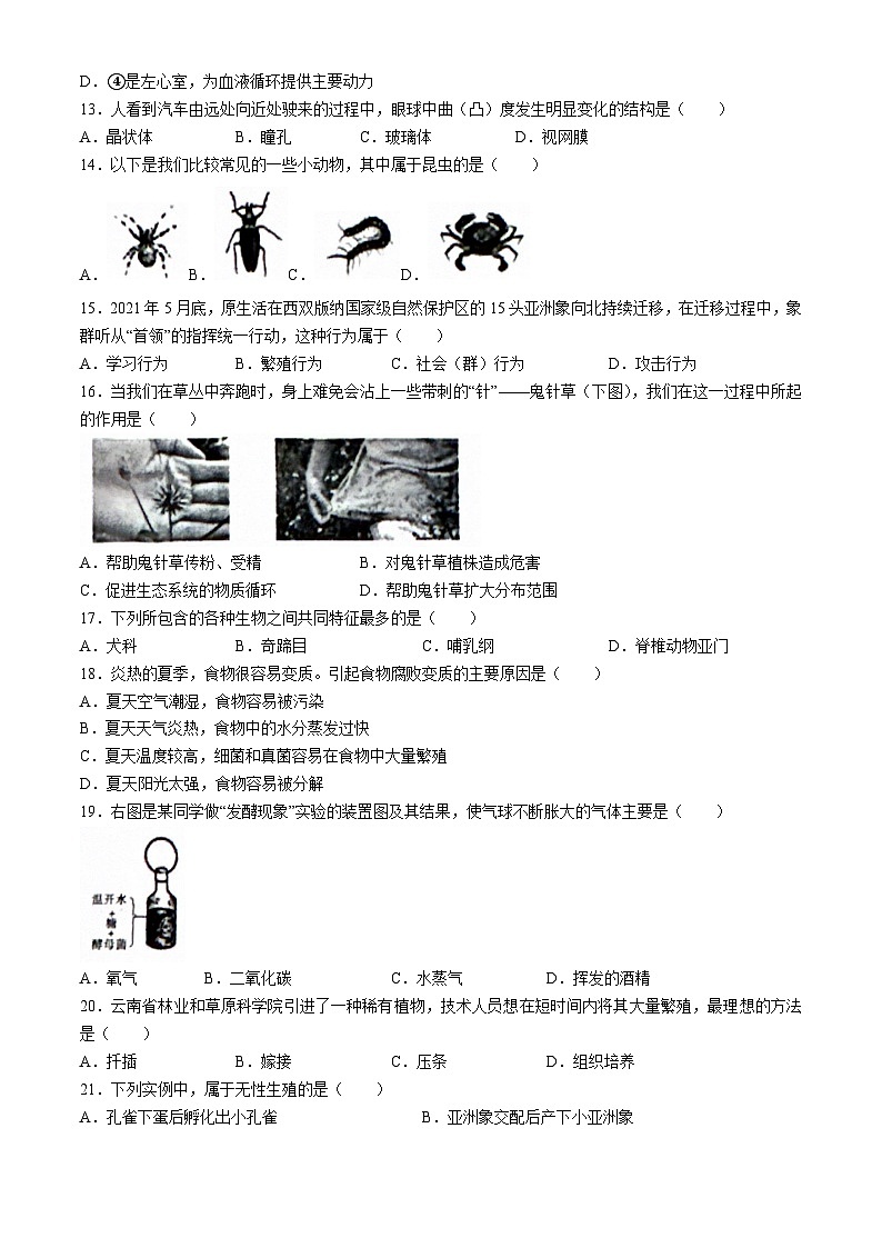 2024年云南省昭通市巧家县九年级二模生物试题03